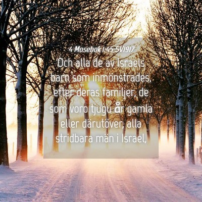 Picture 04 - 4 Mosebok 1:45 SV1917 - Och alla de av Israels barn som inmönstrades, - Bible Verse Picture