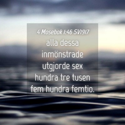 Picture 04 - 4 Mosebok 1:46 SV1917 - alla dessa inmönstrade utgjorde sex hundra tre - Bible Verse Picture