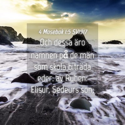 Picture 04 - 4 Mosebok 1:5 SV1917 - Och dessa äro namnen på de män som skola - Bible Verse Picture