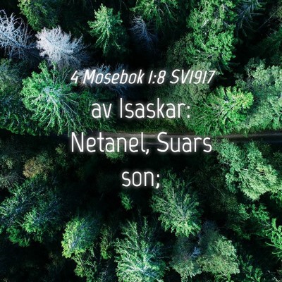 Picture 04 - 4 Mosebok 1:8 SV1917 - av Isaskar: Netanel, Suars - Bible Verse Picture