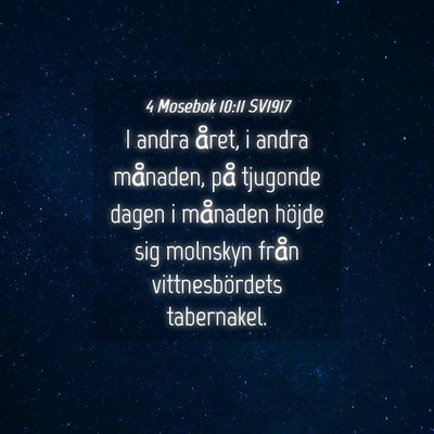 Picture 04 - 4 Mosebok 10:11 SV1917 - I andra året, i andra månaden, på tjugonde - Bible Verse Picture