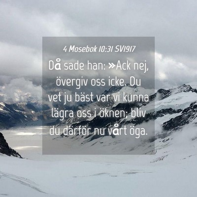 Picture 04 - 4 Mosebok 10:31 SV1917 - Då sade han: »Ack nej, övergiv oss icke. Du - Bible Verse Picture