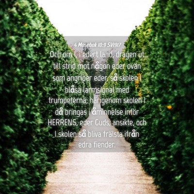 Picture 04 - 4 Mosebok 10:9 SV1917 - Och om I, i edert land, dragen ut till strid mot - Bible Verse Picture