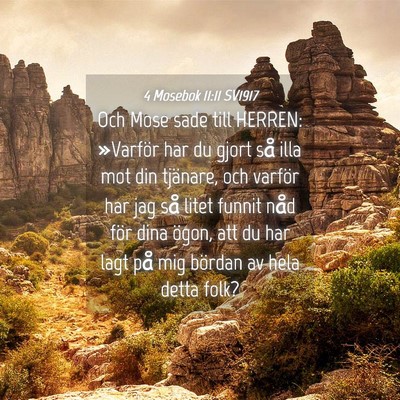 Picture 04 - 4 Mosebok 11:11 SV1917 - Och Mose sade till HERREN: »Varför har du gjort - Bible Verse Picture