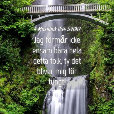 Picture 04 - 4 Mosebok 11:14 SV1917 - Jag förmår icke ensam bära hela detta folk, ty - Bible Verse Picture