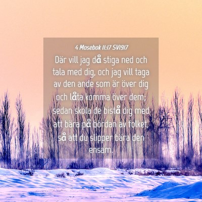 Picture 04 - 4 Mosebok 11:17 SV1917 - Där vill jag då stiga ned och tala med dig, och - Bible Verse Picture