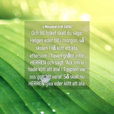 Picture 04 - 4 Mosebok 11:18 SV1917 - Och till folket skall du säga: Helgen eder till - Bible Verse Picture