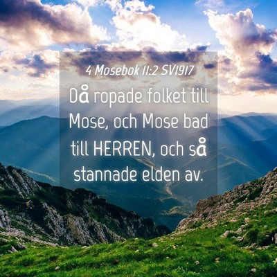 Picture 04 - 4 Mosebok 11:2 SV1917 - Då ropade folket till Mose, och Mose bad till - Bible Verse Picture