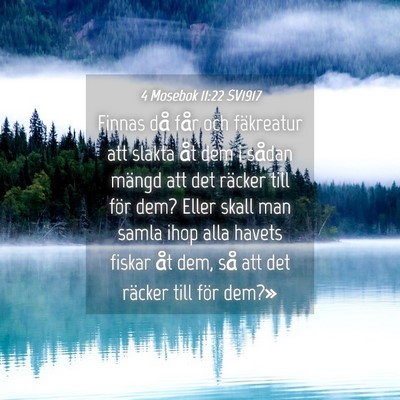 Picture 04 - 4 Mosebok 11:22 SV1917 - Finnas då får och fäkreatur att slakta åt dem - Bible Verse Picture