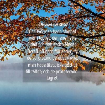 Picture 04 - 4 Mosebok 11:26 SV1917 - Och två män hade stannat kvar i lägret; den - Bible Verse Picture