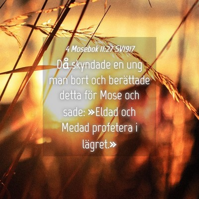 Picture 04 - 4 Mosebok 11:27 SV1917 - Då skyndade en ung man bort och berättade detta - Bible Verse Picture