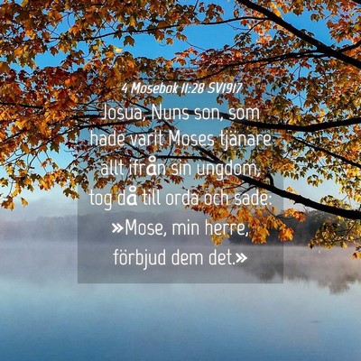 Picture 04 - 4 Mosebok 11:28 SV1917 - Josua, Nuns son, som hade varit Moses tjänare - Bible Verse Picture