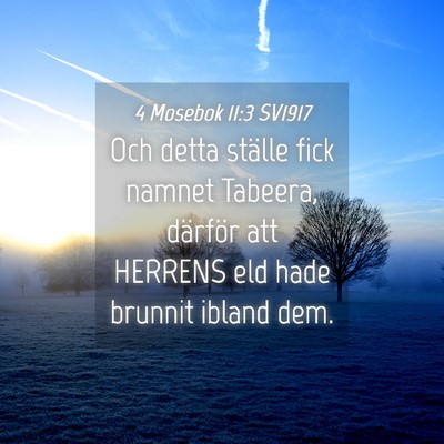 Picture 04 - 4 Mosebok 11:3 SV1917 - Och detta ställe fick namnet Tabeera, därför - Bible Verse Picture