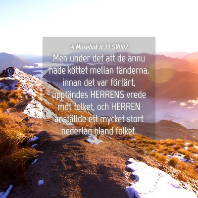 Picture 04 - 4 Mosebok 11:33 SV1917 - Men under det att de ännu hade köttet mellan - Bible Verse Picture