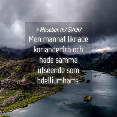 Picture 04 - 4 Mosebok 11:7 SV1917 - Men mannat liknade korianderfrö och hade samma - Bible Verse Picture