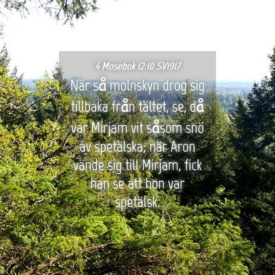 Picture 04 - 4 Mosebok 12:10 SV1917 - När så molnskyn drog sig tillbaka från - Bible Verse Picture