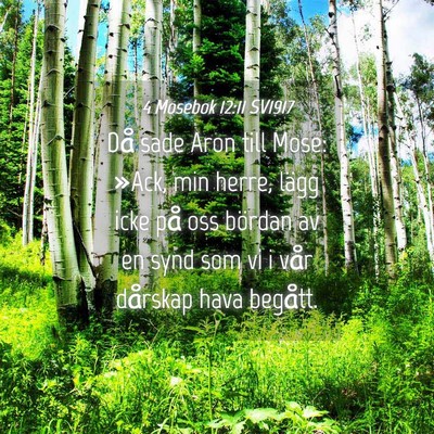 Picture 04 - 4 Mosebok 12:11 SV1917 - Då sade Aron till Mose: »Ack, min herre, lägg - Bible Verse Picture