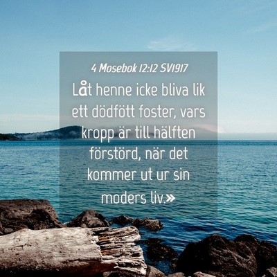 Picture 04 - 4 Mosebok 12:12 SV1917 - Låt henne icke bliva lik ett dödfött foster, - Bible Verse Picture
