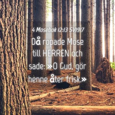 Picture 04 - 4 Mosebok 12:13 SV1917 - Då ropade Mose till HERREN och sade: »O Gud, - Bible Verse Picture
