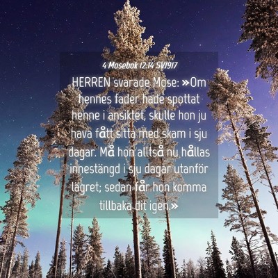 Picture 04 - 4 Mosebok 12:14 SV1917 - HERREN svarade Mose: »Om hennes fader hade - Bible Verse Picture