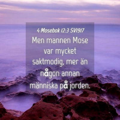 Picture 04 - 4 Mosebok 12:3 SV1917 - Men mannen Mose var mycket saktmodig, mer än - Bible Verse Picture