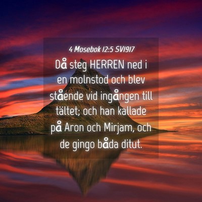 Picture 04 - 4 Mosebok 12:5 SV1917 - Då steg HERREN ned i en molnstod och blev - Bible Verse Picture