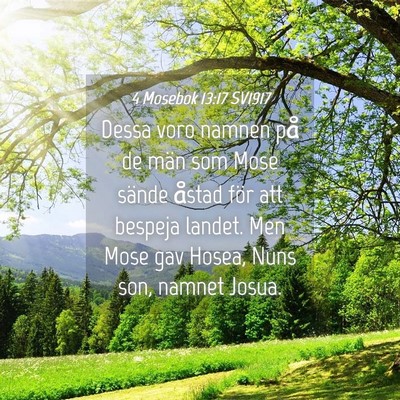 Picture 04 - 4 Mosebok 13:17 SV1917 - Dessa voro namnen på de män som Mose sände - Bible Verse Picture