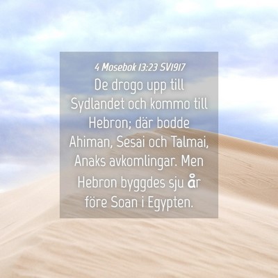 Picture 04 - 4 Mosebok 13:23 SV1917 - De drogo upp till Sydlandet och kommo till - Bible Verse Picture