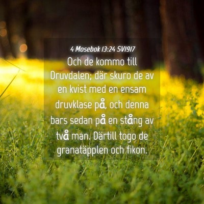 Picture 04 - 4 Mosebok 13:24 SV1917 - Och de kommo till Druvdalen; där skuro de av en - Bible Verse Picture
