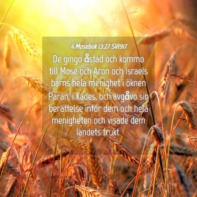 Picture 04 - 4 Mosebok 13:27 SV1917 - De gingo åstad och kommo till Mose och Aron och - Bible Verse Picture