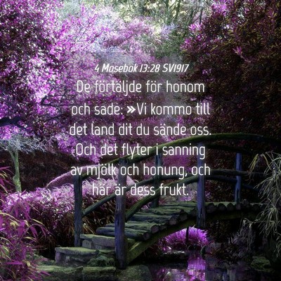 Picture 04 - 4 Mosebok 13:28 SV1917 - De förtäljde för honom och sade: »Vi kommo - Bible Verse Picture