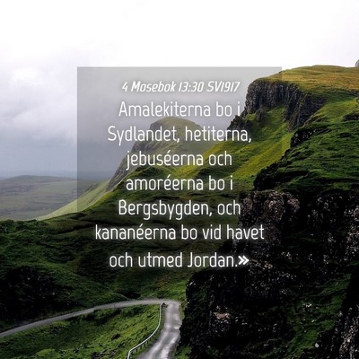 Picture 04 - 4 Mosebok 13:30 SV1917 - Amalekiterna bo i Sydlandet, hetiterna, - Bible Verse Picture