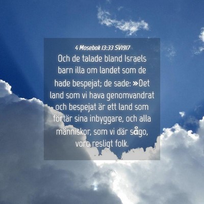 Picture 04 - 4 Mosebok 13:33 SV1917 - Och de talade bland Israels barn illa om landet - Bible Verse Picture