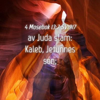 Picture 04 - 4 Mosebok 13:7 SV1917 - av Juda stam: Kaleb, Jefunnes - Bible Verse Picture