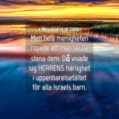 Picture 04 - 4 Mosebok 14:10 SV1917 - Men hela menigheten ropade att man skulle stena - Bible Verse Picture