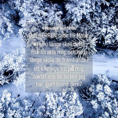 Picture 04 - 4 Mosebok 14:11 SV1917 - Och HERREN sade till Mose: »Huru länge skall - Bible Verse Picture