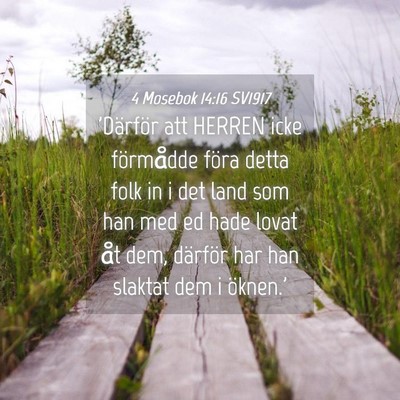 Picture 04 - 4 Mosebok 14:16 SV1917 - 'Därför att HERREN icke förmådde föra detta - Bible Verse Picture
