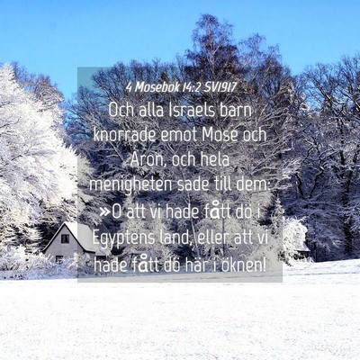 Picture 04 - 4 Mosebok 14:2 SV1917 - Och alla Israels barn knorrade emot Mose och - Bible Verse Picture