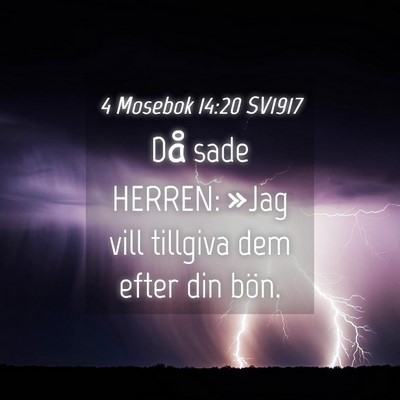 Picture 04 - 4 Mosebok 14:20 SV1917 - Då sade HERREN: »Jag vill tillgiva dem efter - Bible Verse Picture