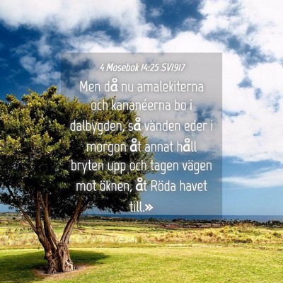 Picture 04 - 4 Mosebok 14:25 SV1917 - Men då nu amalekiterna och kananéerna bo i - Bible Verse Picture