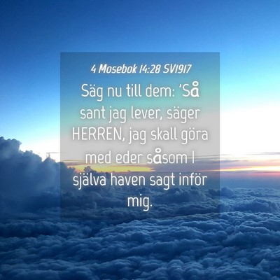 Picture 04 - 4 Mosebok 14:28 SV1917 - Säg nu till dem: 'Så sant jag lever, säger - Bible Verse Picture