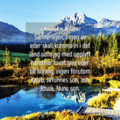 Picture 04 - 4 Mosebok 14:30 SV1917 - Sannerligen, ingen av eder skall komma in i det - Bible Verse Picture