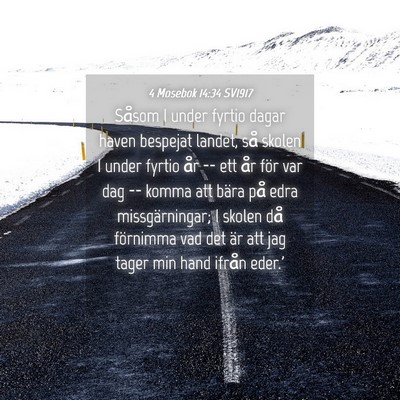 Picture 04 - 4 Mosebok 14:34 SV1917 - Såsom I under fyrtio dagar haven bespejat - Bible Verse Picture