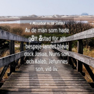 Picture 04 - 4 Mosebok 14:38 SV1917 - Av de män som hade gått åstad för att bespeja - Bible Verse Picture