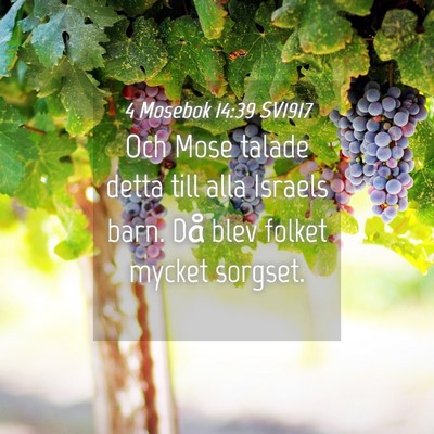 Picture 04 - 4 Mosebok 14:39 SV1917 - Och Mose talade detta till alla Israels barn. Då - Bible Verse Picture