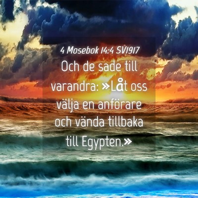 Picture 04 - 4 Mosebok 14:4 SV1917 - Och de sade till varandra: »Låt oss välja en - Bible Verse Picture