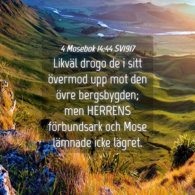 Picture 04 - 4 Mosebok 14:44 SV1917 - Likväl drogo de i sitt övermod upp mot den - Bible Verse Picture