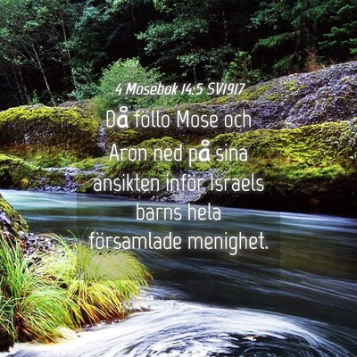 Picture 04 - 4 Mosebok 14:5 SV1917 - Då föllo Mose och Aron ned på sina ansikten - Bible Verse Picture