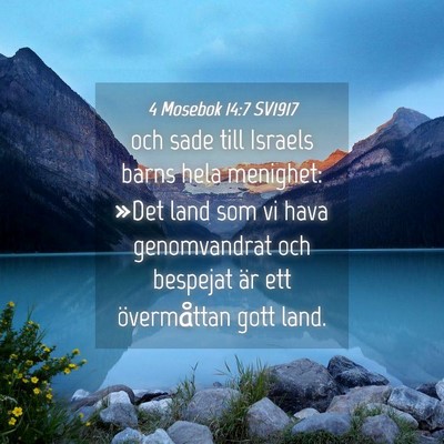 Picture 04 - 4 Mosebok 14:7 SV1917 - och sade till Israels barns hela menighet: »Det - Bible Verse Picture