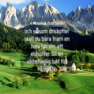 Picture 04 - 4 Mosebok 15:10 SV1917 - och såsom drickoffer skall du bära fram en halv - Bible Verse Picture